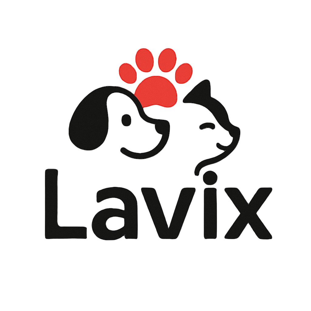 Lavix 